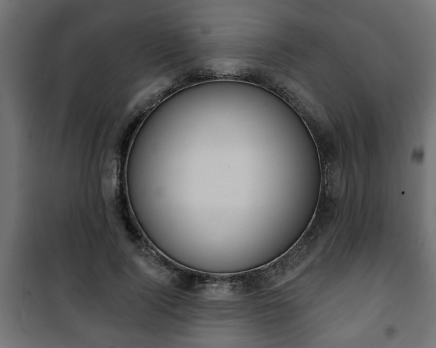 X0000101200740200807071314