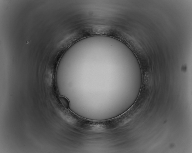 X0000101200741200807071314