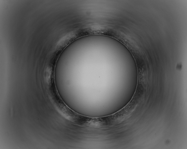 X0000101200742200807071314