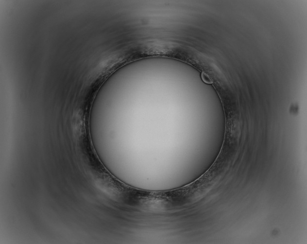 X0000101200743200807071314