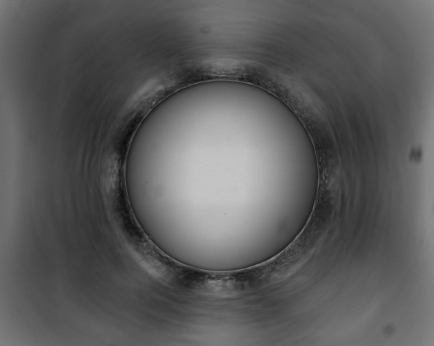X0000101200744200807071314