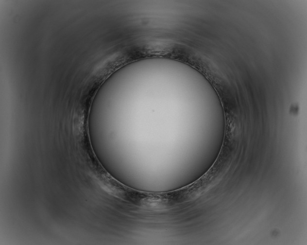 X0000101200745200807071314