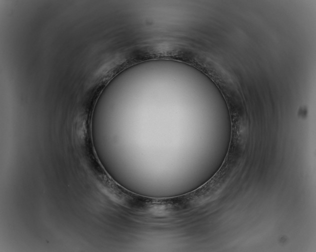 X0000101200746200807071314