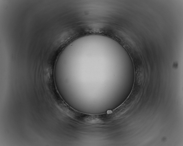 X0000101200747200807071314