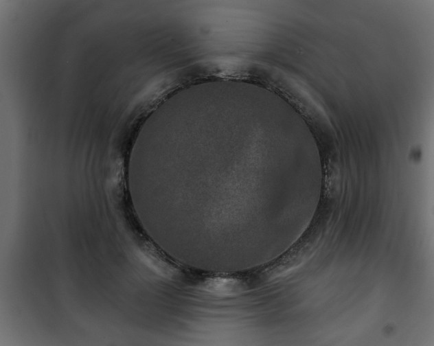 X0000101200748200807071314