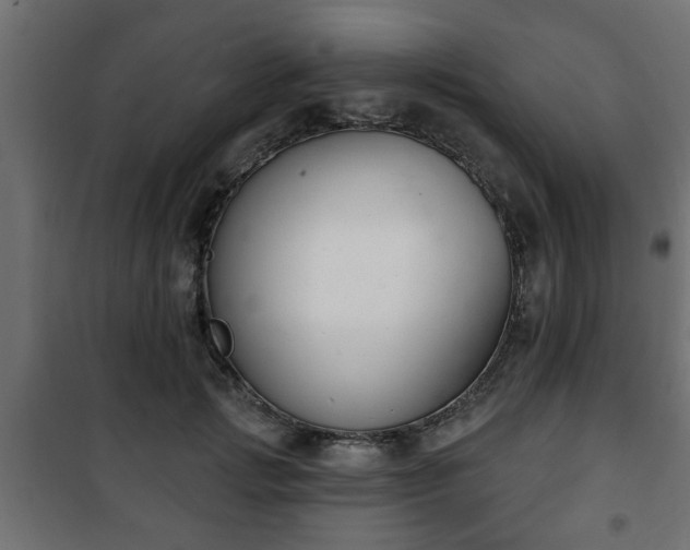 X0000101200749200807071314