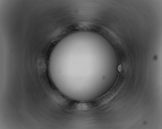 X0000101200751200807071314