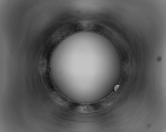 X0000101200752200807071314