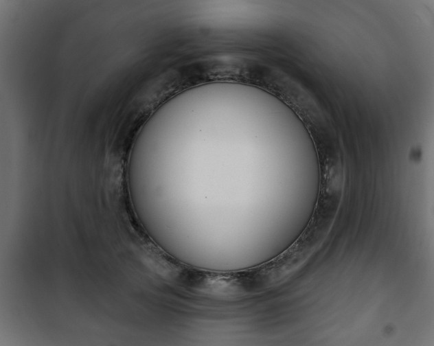 X0000101200753200807071314