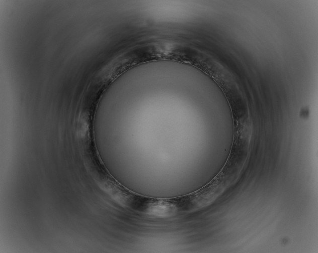 X0000101200754200807071314