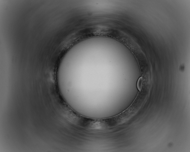 X0000101200755200807071314