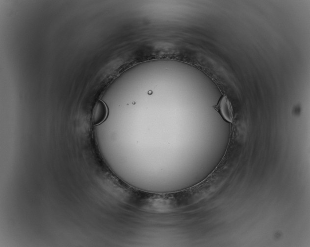 X0000101200756200807071314