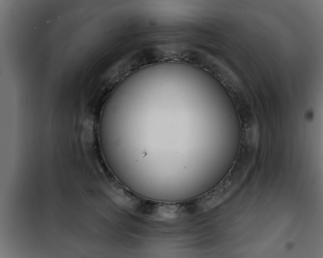 X0000101200757200807071314