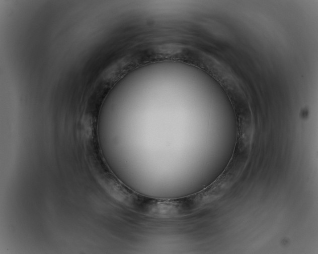 X0000101200758200807071314