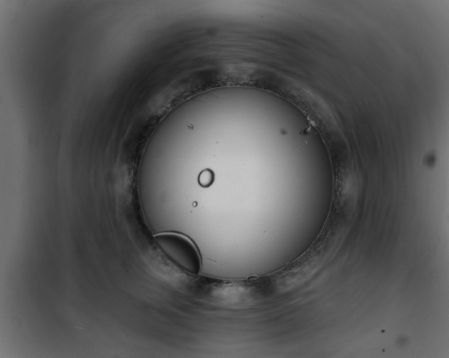 X0000101200759200807071314