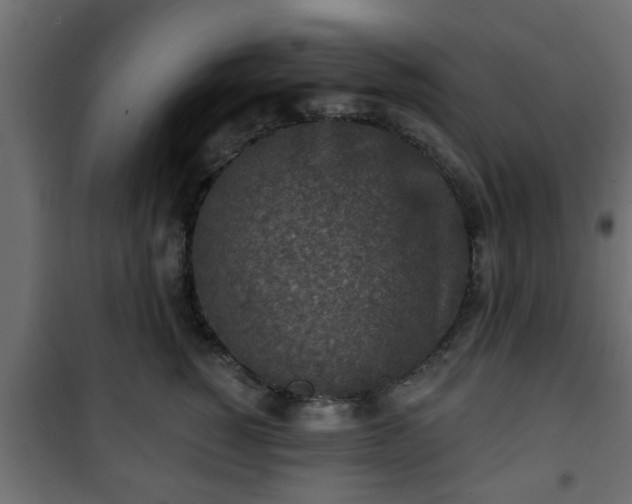 X0000101200760200807071314