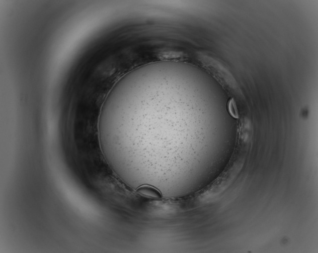 X0000101200763200807071314