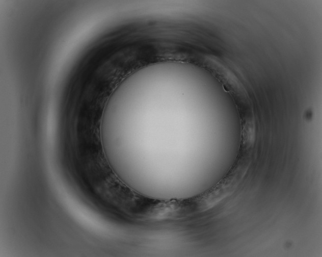 X0000101200764200807071314