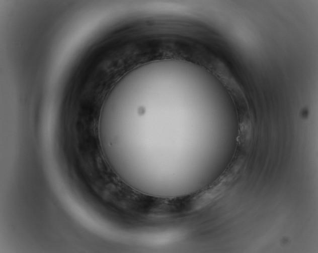 X0000101200765200807071314