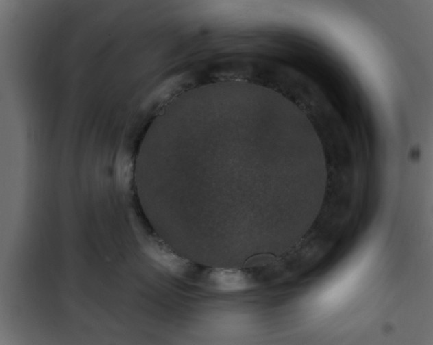 X0000101200767200807071314