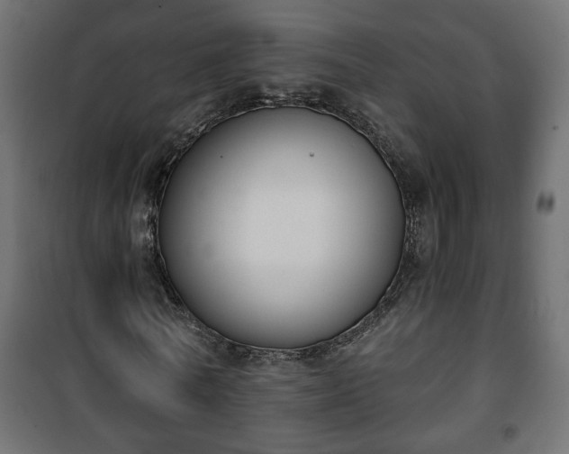 X0000101200770200807071313