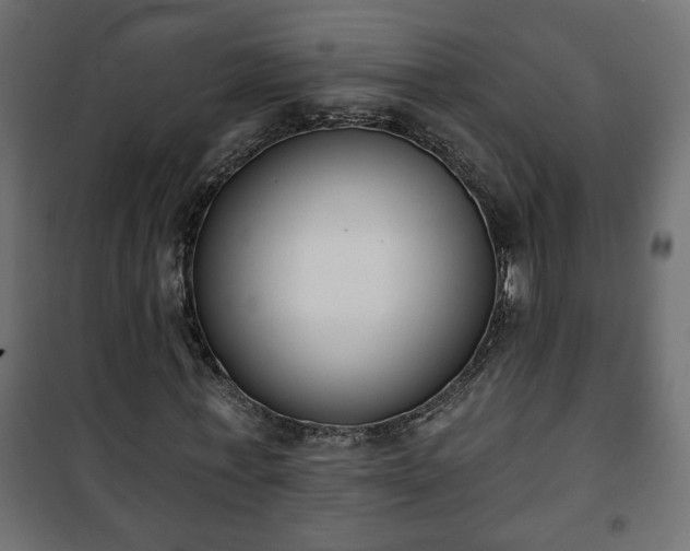 X0000101200771200807071313