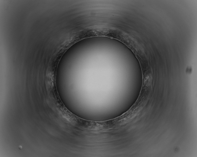 X0000101200772200807071313
