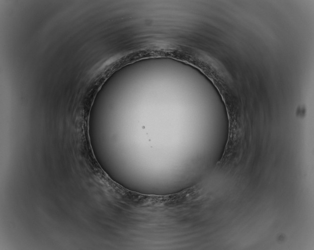 X0000101200773200807071313