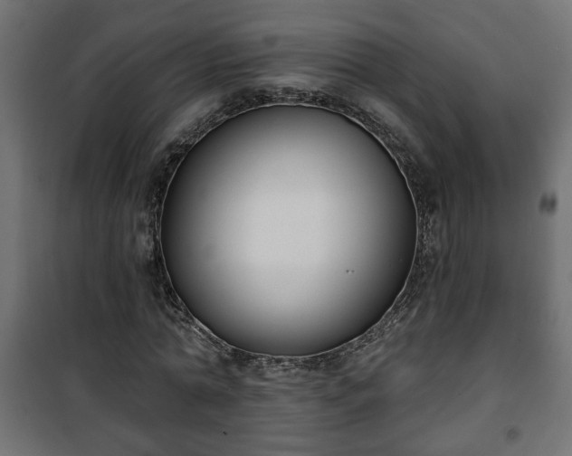 X0000101200774200807071313