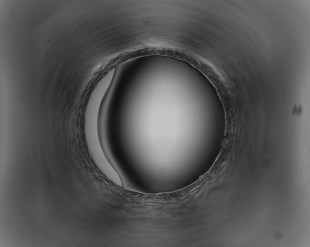 X0000101200776200807071313