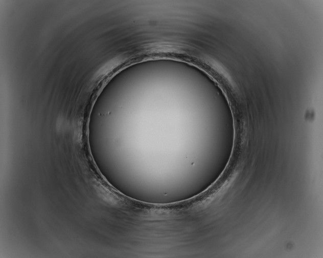 X0000101200777200807071313