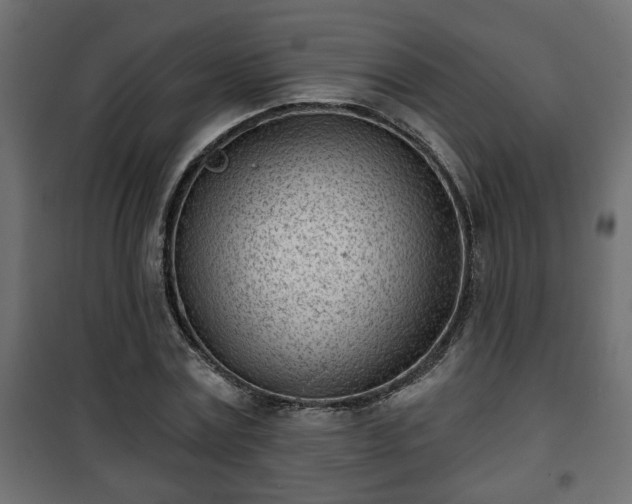 X0000101200779200807071313