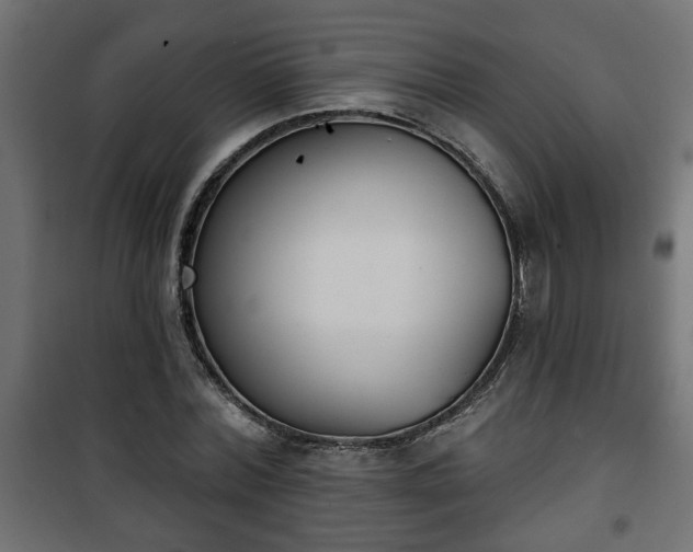 X0000101200780200807071313