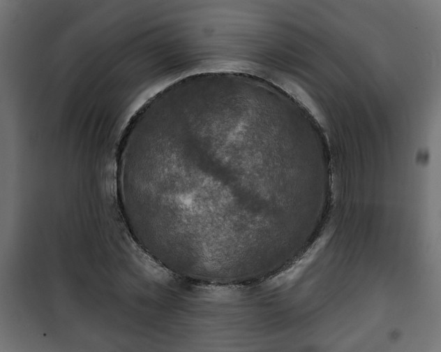 X0000101200781200807071313