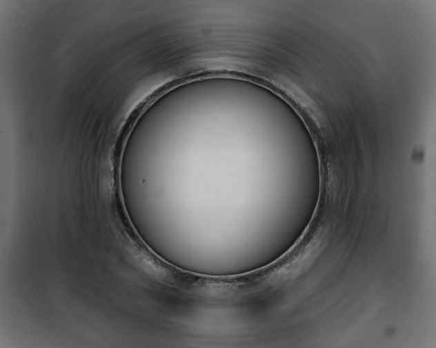 X0000101200782200807071313