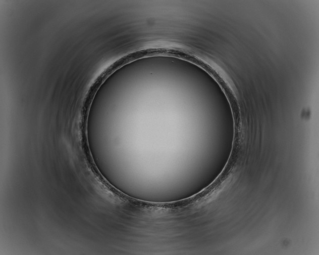 X0000101200783200807071313