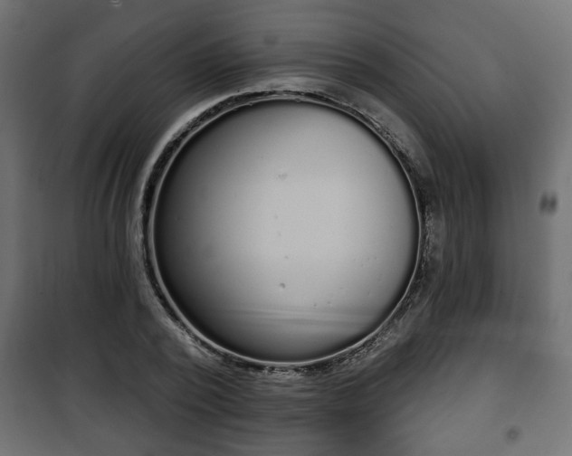 X0000101200784200807071313