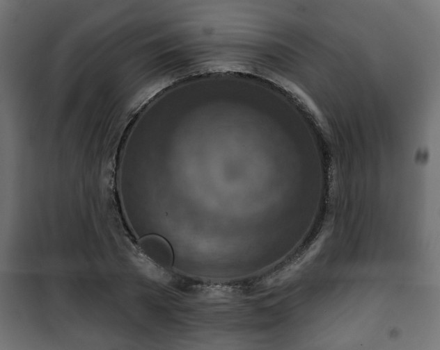 X0000101200785200807071313