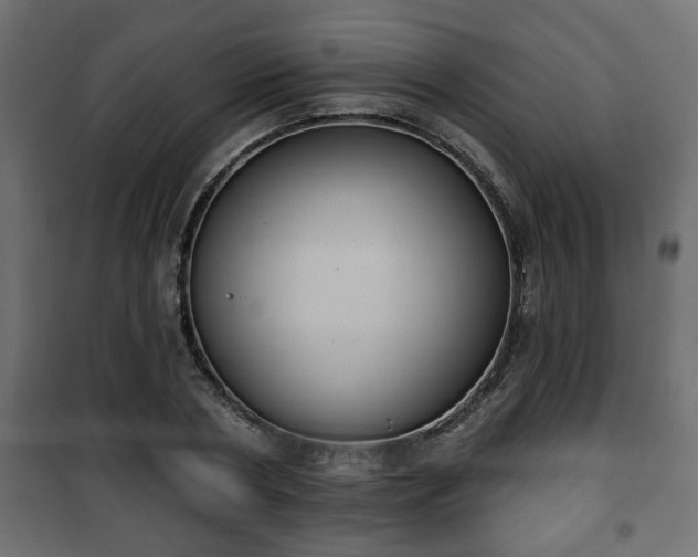X0000101200786200807071313