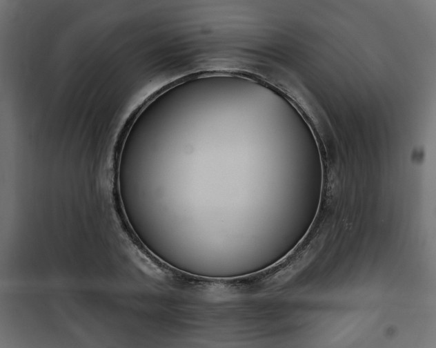 X0000101200787200807071313