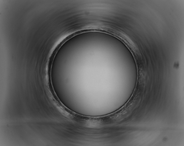 X0000101200788200807071313