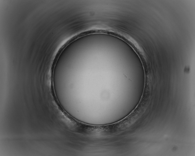 X0000101200791200807071313