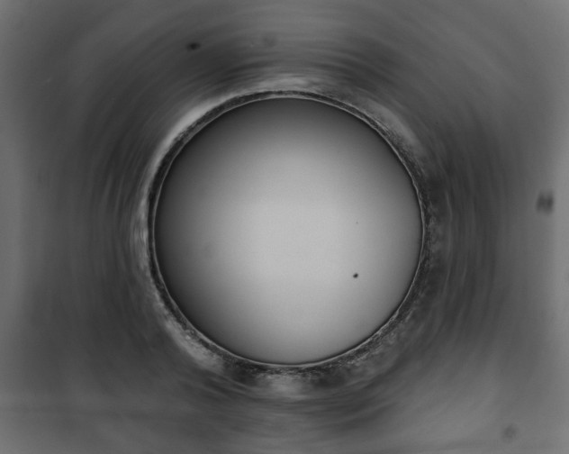 X0000101200792200807071313
