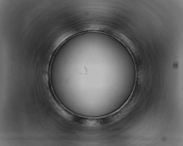 X0000101200794200807071313