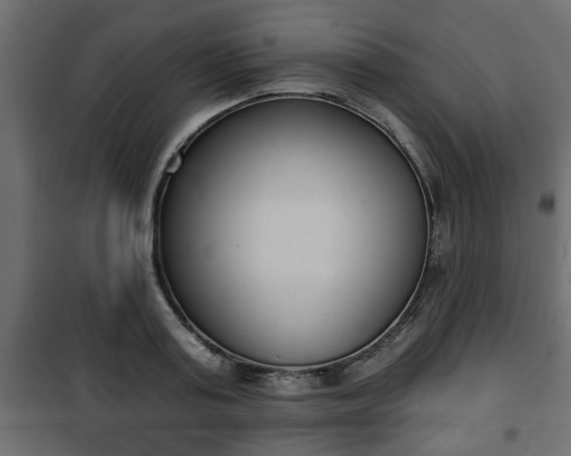 X0000101200795200807071313