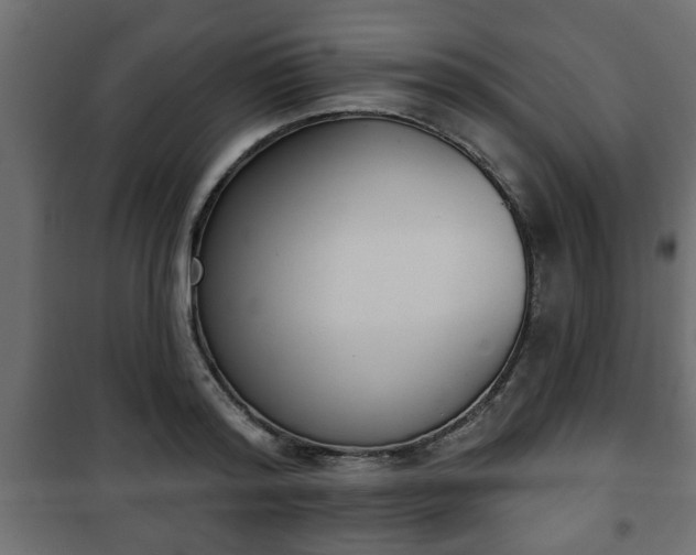 X0000101200796200807071313