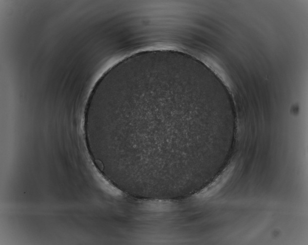 X0000101200797200807071313