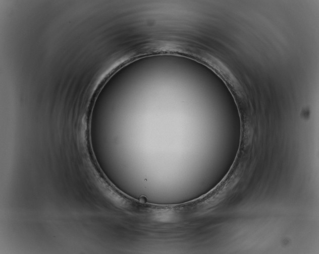 X0000101200798200807071313