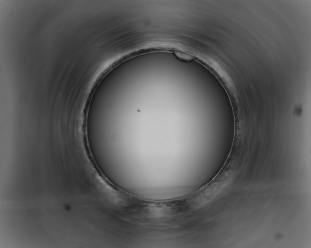 X0000101200799200807071313
