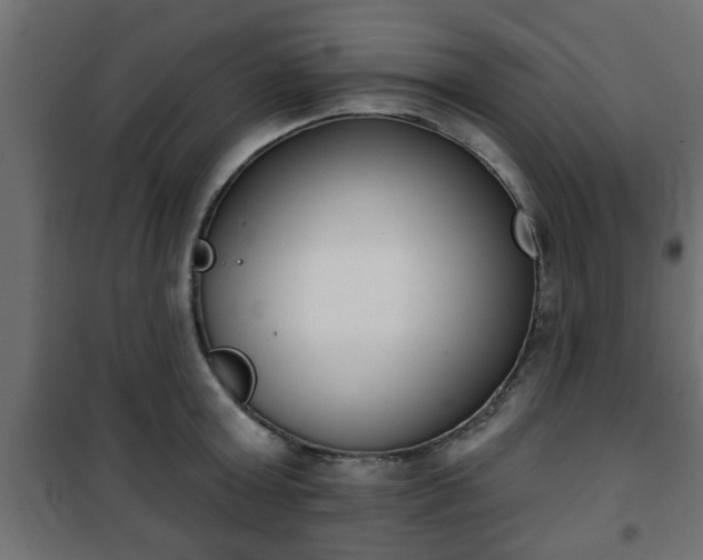 X0000101200803200807071313